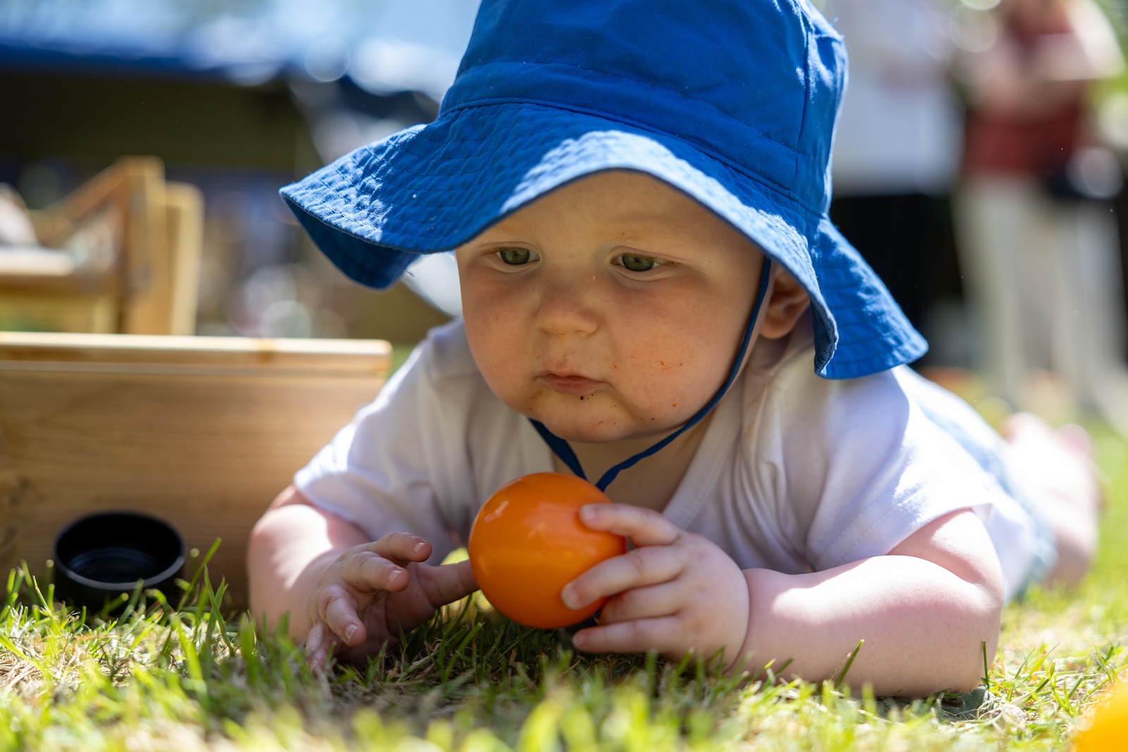 Baby photography